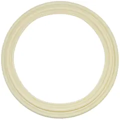 Hayward Diaphragm Gasket (ECX5000G)