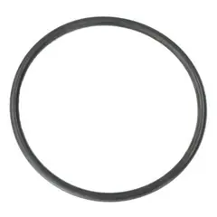 Hayward XStream O-Ring for Pressure Gauge Adapter and Air Relief Valve CCX1000Z5