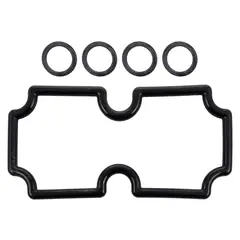 Pentair O-Ring Kit Mt125 (474973)