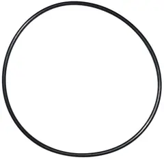 Pentair Seal Plate O-Ring (U9-228AZ)