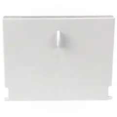 Waterway Skim Filter Weir Door 550-9000