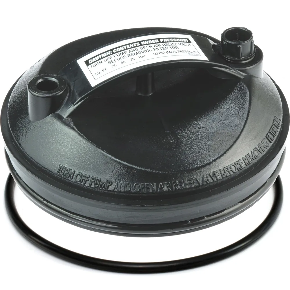 Waterway Top-Load Filter Lid Assembly with O-Ring